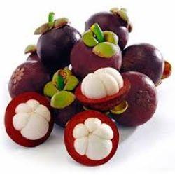 MANGOSTEEN