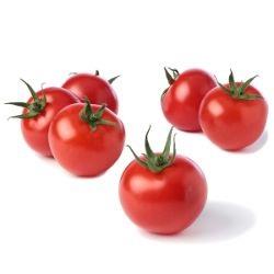 TOMATO Cocktail