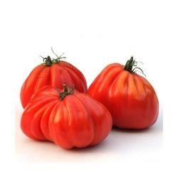 TOMATO Ox Heart Keilor Battaglia