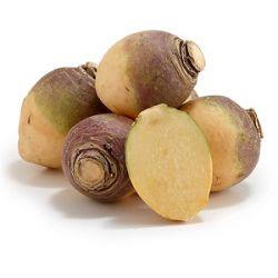 SWEDE