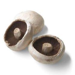 MUSHROOM Loose