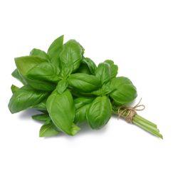 HERB BASIL Bunch