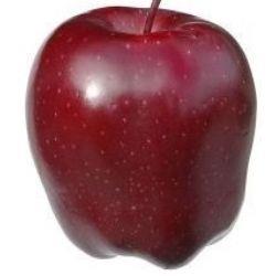 APPLE Red Delicious