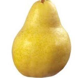 PEARS Clapp