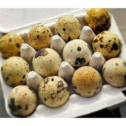QUAIL EGGS Bassetts Farm Dozen