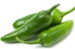 CHILLI Jalapeno