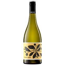 ANGOVE Little Birdie Pinot Gris 750ml