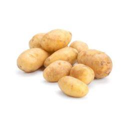 POTATO Brushed Nicola