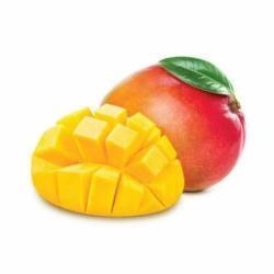 MANGO Small