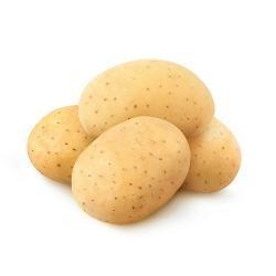 POTATO Washed Sebago