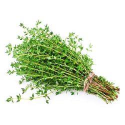 HERB THYME Bunch
