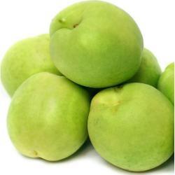 NECTARINE Sicilian Green