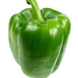 CAPSICUM Green