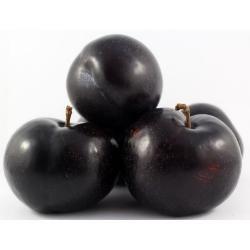 PLUM Black Amber