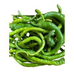 CHILLIE Turkish Snake