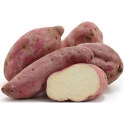POTATO SWEET Purple