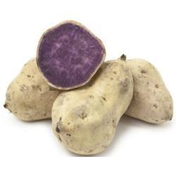 POTATO SWEET White