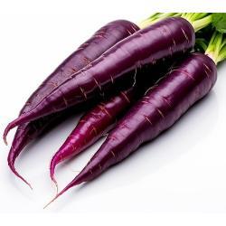 CARROTS PURPLE