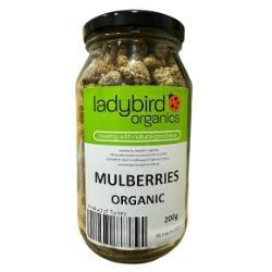 LADYBIRD ORGANICS Dried Mulberries White 200g
