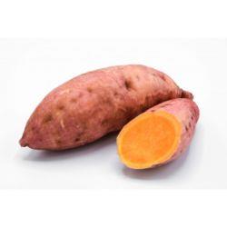 POTATO SWEET Gold