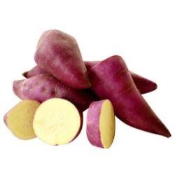POTATO SWEET Purple