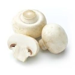 MUSHROOM White Loose