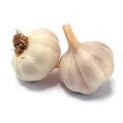 GARLIC Australian