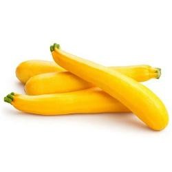 ZUCCHINI Yellow