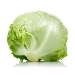 LETTUCE ICEBERG