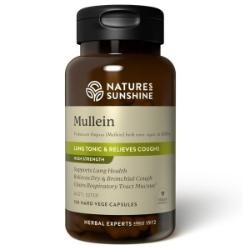 NATURES SUNSHINE Mullein 250mg 100 Cap